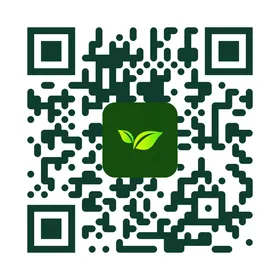 WhatsApp QR code for Grow Vegan Home Cafe